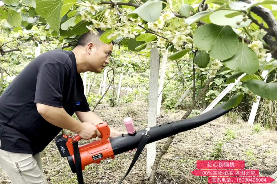 獼猴桃電動授粉工具