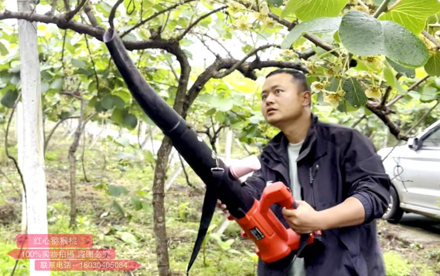 Wind blown electric kiwi pollination equipment