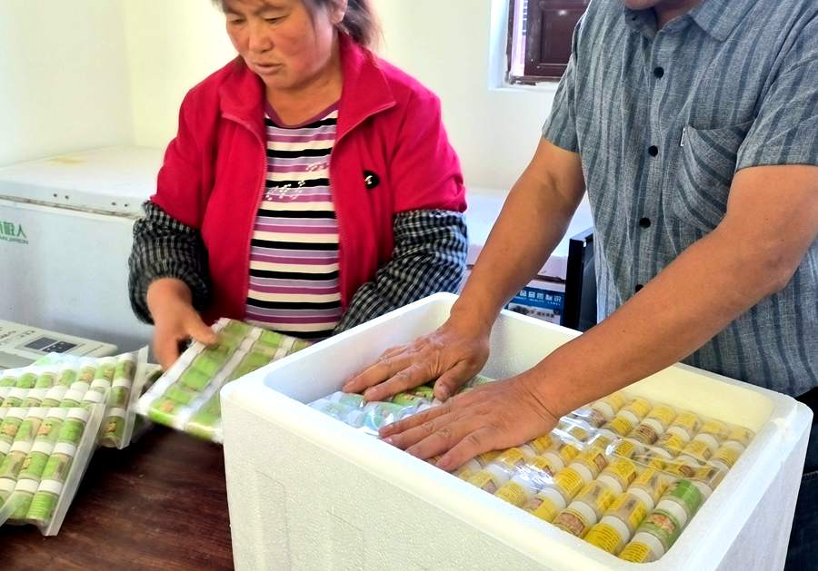 獼猴桃花粉要采取冷藏運輸