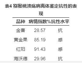 金喜獼猴桃