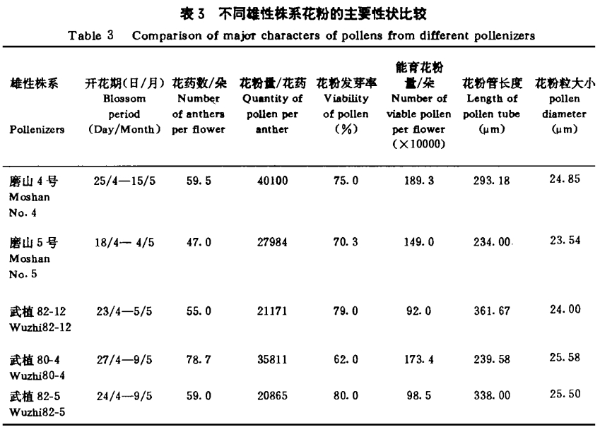 磨山4號獼猴桃