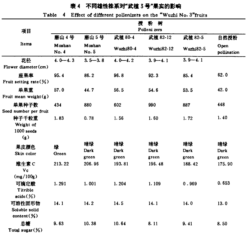 磨山4號獼猴桃