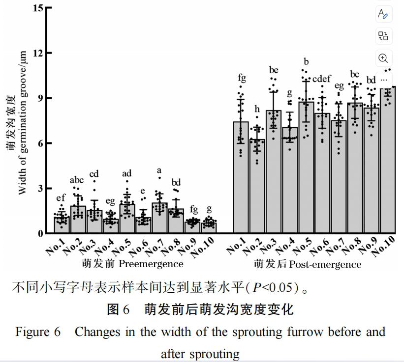 獼猴桃花粉萌發(fā)情況