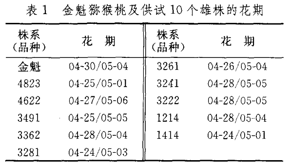 金魁獼猴桃適配雄株