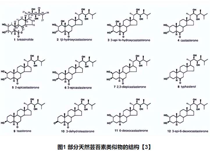 蕓苔素結(jié)構(gòu)式