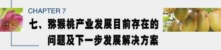 中國獼猴桃產業(yè)發(fā)展報告2017年